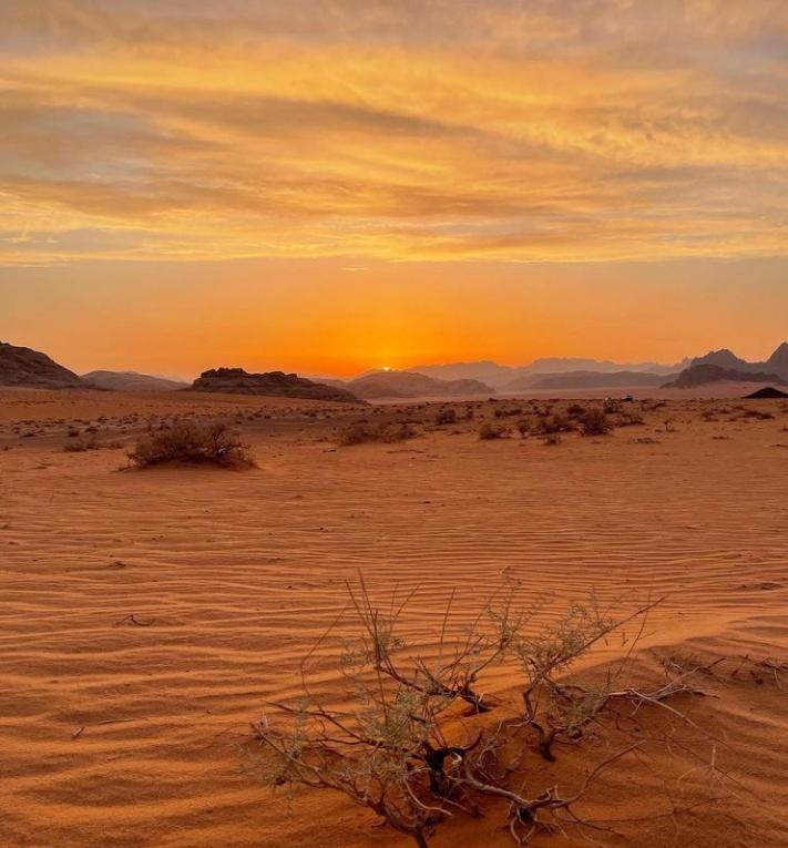 Wadi Rum Nature Екстер'єр фото
