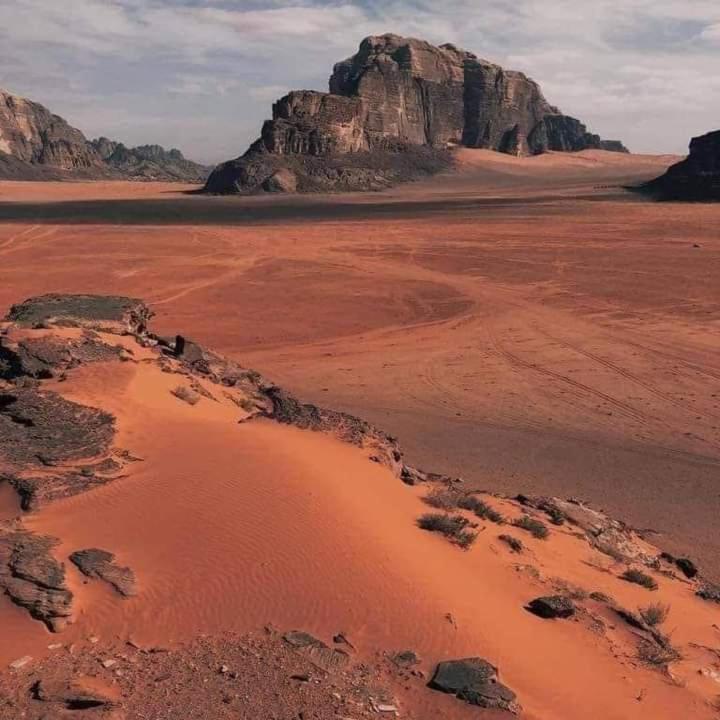 Wadi Rum Nature Екстер'єр фото